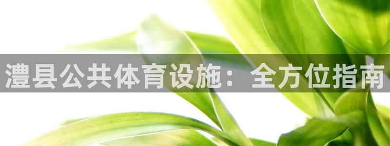 意昂3娱乐下载：澧县公共体育设施：全方位指南