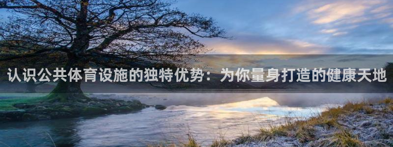 意昂3集团官网网址：认识公共体育设施的独特优势：为你