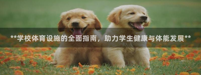 意昂体育3平台注册要钱吗：**学校体育设施的全面指南