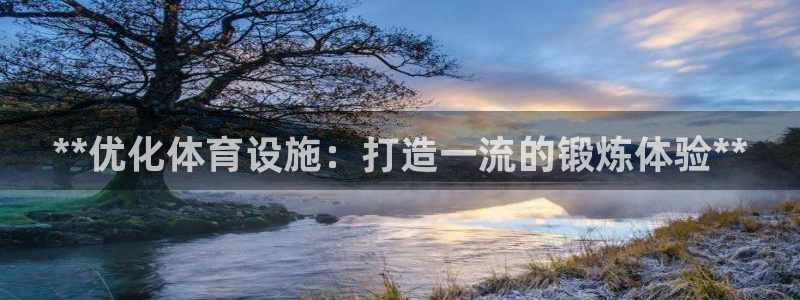 德国意昂3集团：**优化体育设施：打造一流的锻炼体验