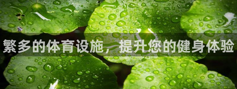 意昂3代理：繁多的体育设施，提升您的健身体验