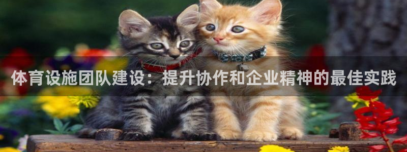 意昂3集团官网网址：体育设施团队建设：提升协作和企业