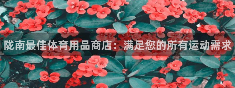 意昂3娱乐40996：陇南最佳体育用品商店：满足您的