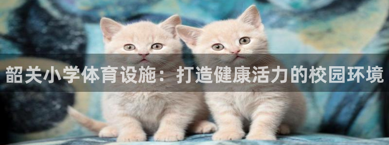 意昂体育3招商电话：韶关小学体育设施：打造健康活力的