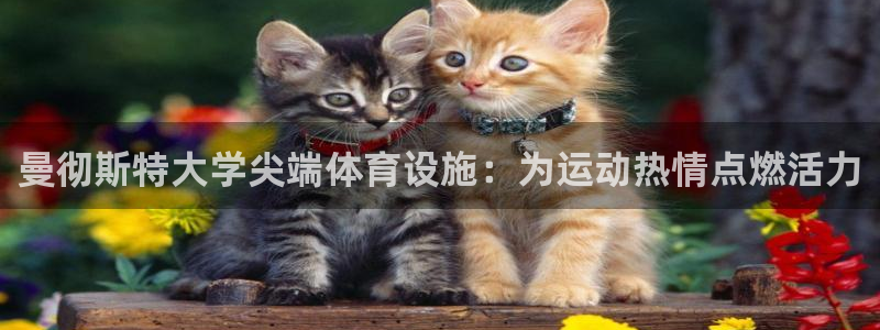 意昂体育3平台注册要钱吗：曼彻斯特大学尖端体育设施：