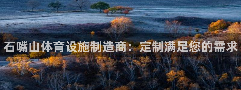 意昂体育3平台：石嘴山体育设施制造商：定制满足您的需