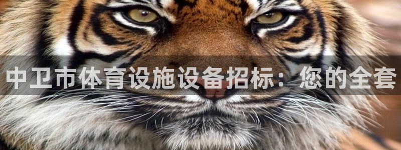意昂体育3平台是正规平台吗安全吗：中卫市体育设施设备