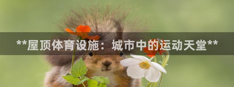 意昂3科技：**屋顶体育设施：城市中的运动天堂**