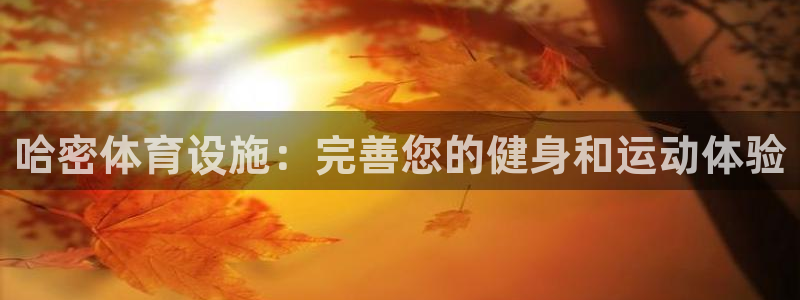 意昂体育3平台假的吗是真的吗：哈密体育设施：完善您的