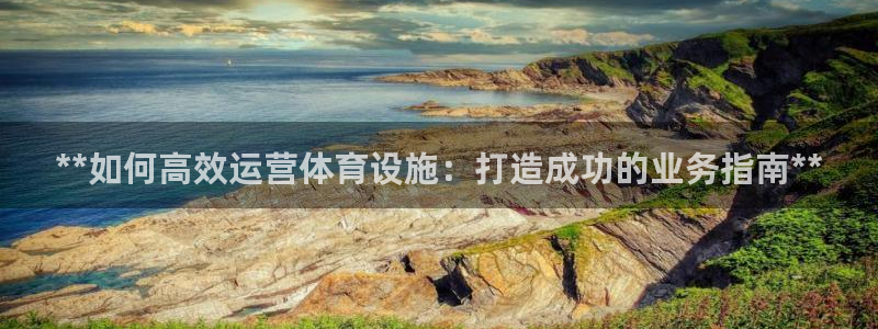 意昂3娱乐网站：**如何高效运营体育设施：打造成功的
