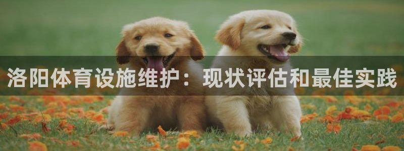 意昂3娱乐首页官网下载：洛阳体育设施维护：现状评估和