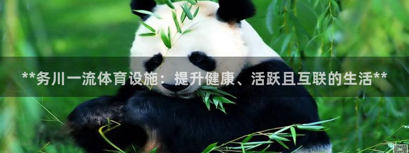 意昂3娱乐：**务川一流体育设施：提升健康、活跃且互