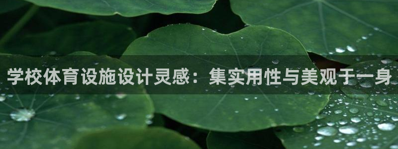 意昂3娱乐首页官网下载：学校体育设施设计灵感：集实用