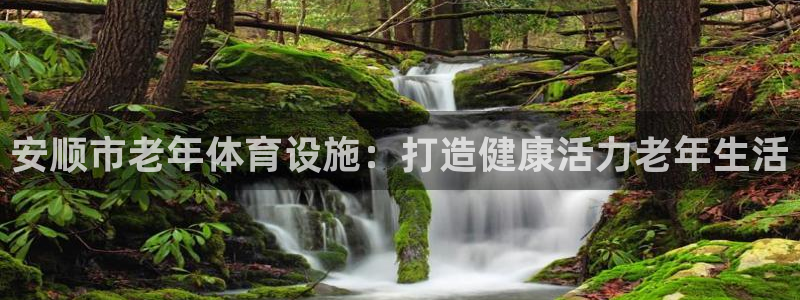 意昂3娱乐：安顺市老年体育设施：打造健康活力老年生活