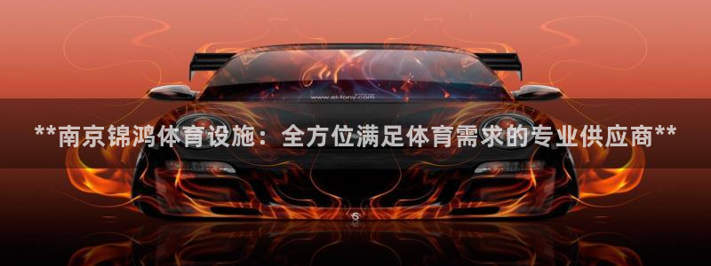 意昂3集团简介：**南京锦鸿体育设施：全方位满足体育