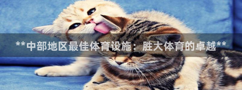 意昂3集团官网首页网址