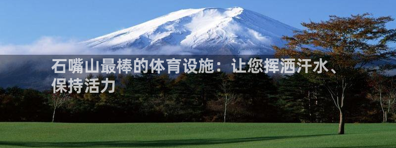意昂体育3平台注册流程图：石嘴山最棒的体育设施：让您