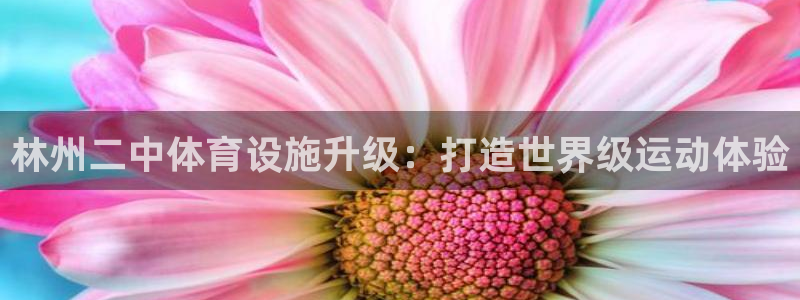 意昂3娱乐下载：林州二中体育设施升级：打造世界级运动