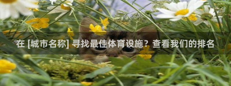 意昂3代理：在 [城市名称] 寻找最佳体育设施？查看