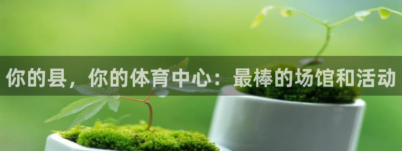 意昂3娱乐网站：你的县，你的体育中心：最棒的场馆和活