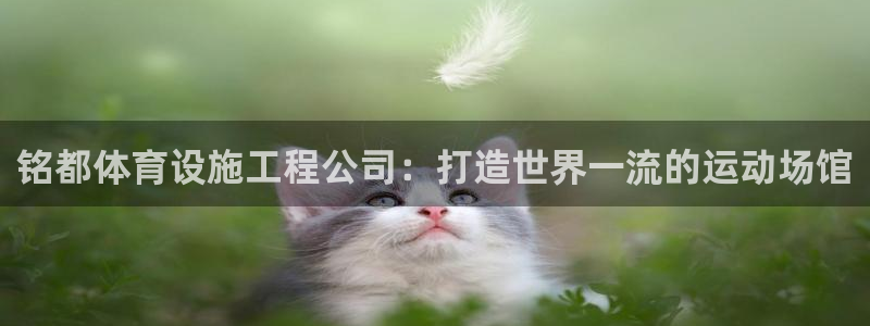 意昂3娱乐下载：铭都体育设施工程公司：打造世界一流的