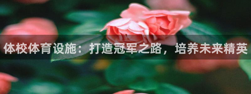 注册意昂3：体校体育设施：打造冠军之路，培养未来精英