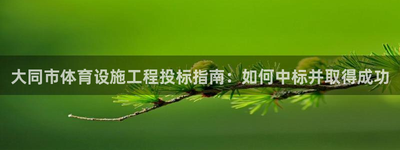 意昂3集团：大同市体育设施工程投标指南：如何中标并取
