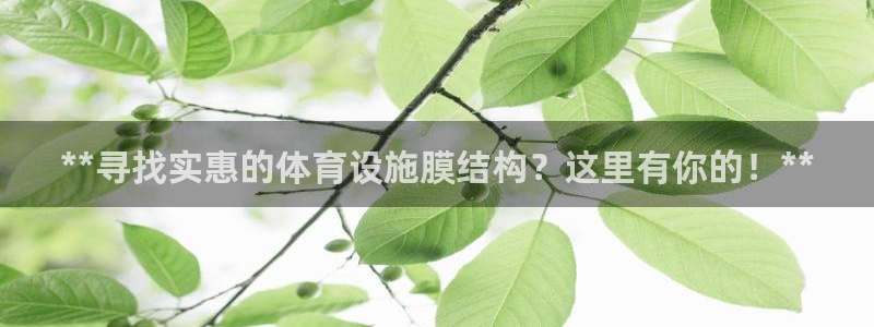 意昂3娱乐网站：**寻找实惠的体育设施膜结构？这里有