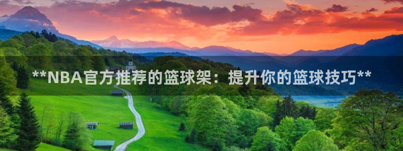 意昂体育3联系电话：**NBA官方推荐的篮球架：提升