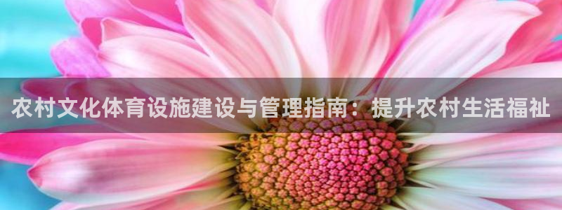 意昂集团官网：农村文化体育设施建设与管理指南：提升农