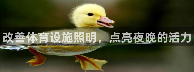 意昂体育3娱乐：改善体育设施照明，点亮夜晚的活力