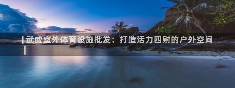 海南意昂体育3：| 武威室外体育设施批发：打造活力四