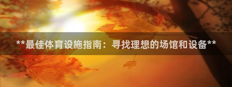 意昂体育3娱乐：**最佳体育设施指南：寻找理想的场馆