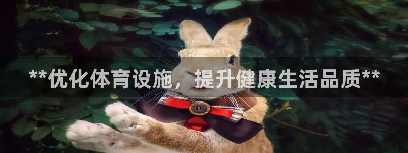 意昂3五金厂：**优化体育设施，提升健康生活品质**
