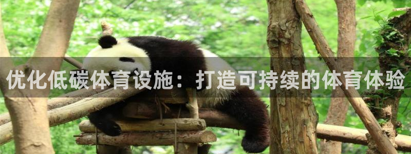 意昂体育3平台注册流程图：优化低碳体育设施：打造可持