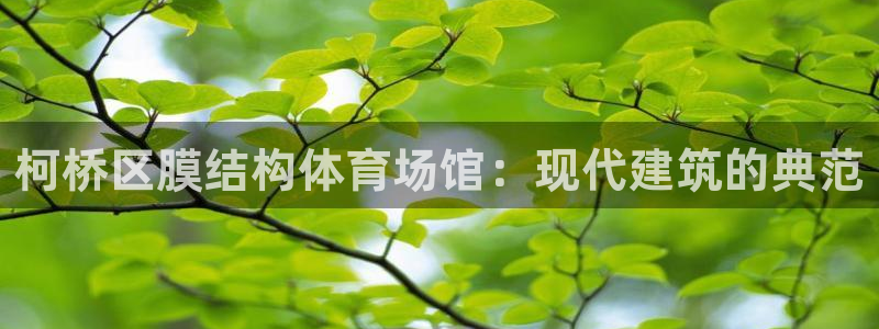 意昂平台体育：柯桥区膜结构体育场馆：现代建筑的典范