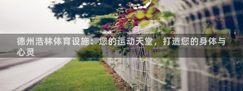 意昂3娱乐首页官网下载：德州浩林体育设施：您的运动天