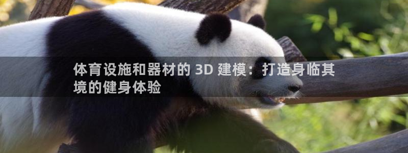 意昂体育3招商电话号码是多少：体育设施和器材的 3D