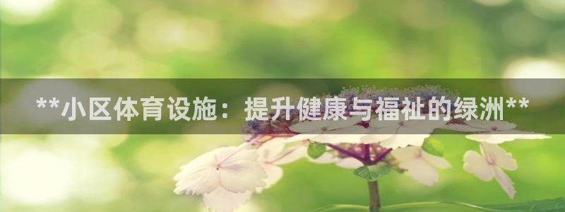 意昂3娱乐网站：**小区体育设施：提升健康与福祉的绿