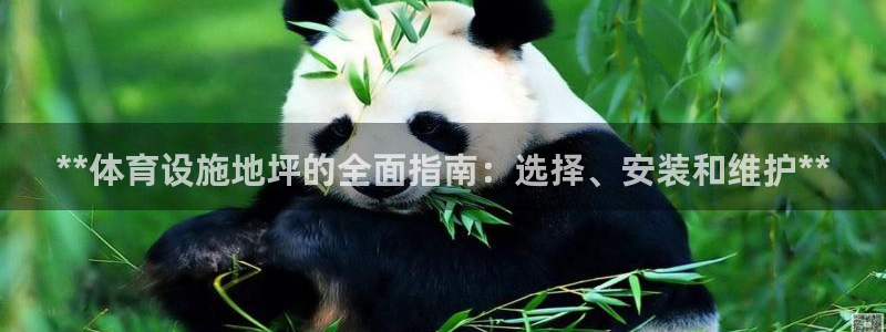 意昂体育3招商电话号码查询是多少：**体育设施地坪的