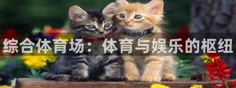 意昂体育3平台注册要钱吗是真的吗：综合体育场：体育与