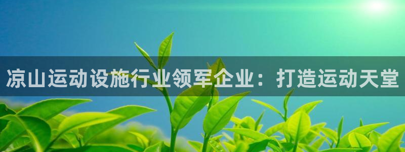 意昂体育3招商电话地址是多少：凉山运动设施行业领军企