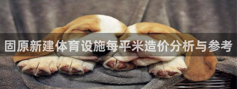 意昂体育3开户：固原新建体育设施每平米造价分析与参考