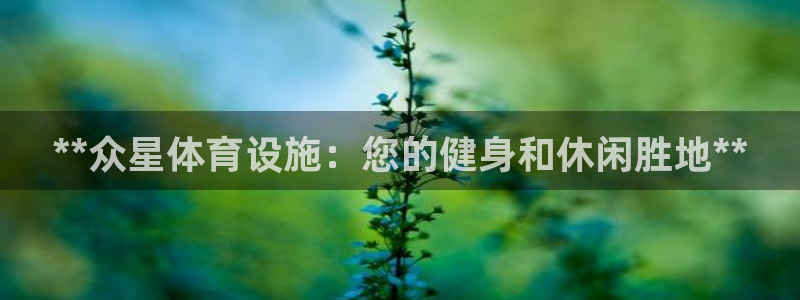 意昂体育3招商电话：**众星体育设施：您的健身和休闲