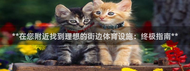 意昂3官方：**在您附近找到理想的街边体育设施：终极