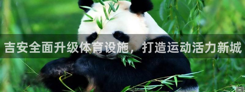 意昂集团官网：吉安全面升级体育设施，打造运动活力新城