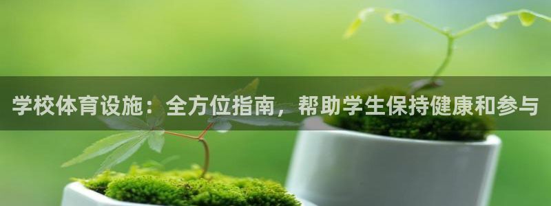 意昂3集团官网网址：学校体育设施：全方位指南，帮助学