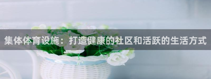 意昂3官网：集体体育设施：打造健康的社区和活跃的生活