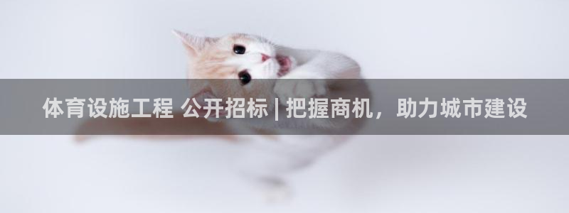 意昂3娱乐平台：体育设施工程 公开招标 | 把握商机