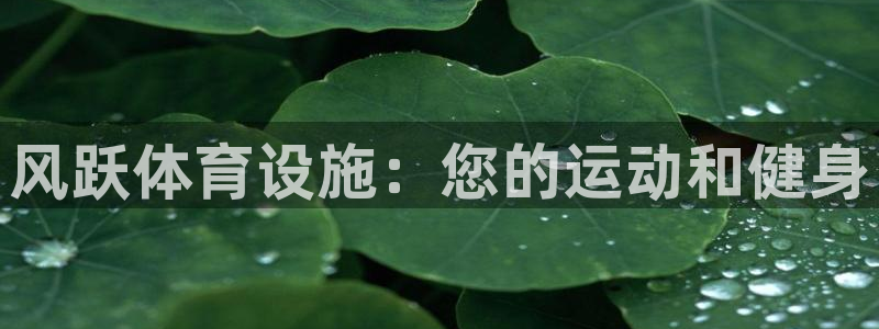意昂体育3招商电话是多少号码：风跃体育设施：您的运动
